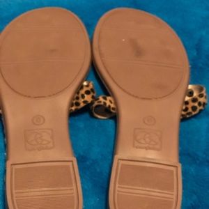 New Sandals never worn Everglades